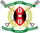 The National Youth Service Logo